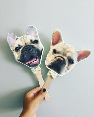 dogpaddles