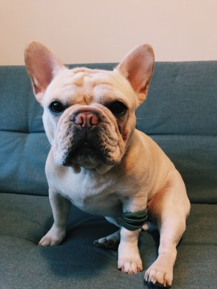 Processed with VSCO with c6 preset